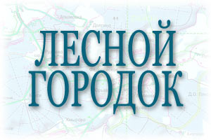 бетон в п. Лесной городок