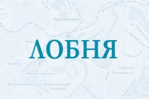 Цемент в городе Лобня