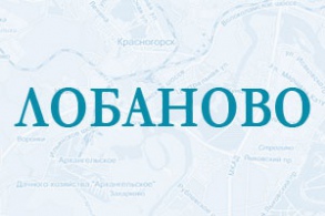 Цемент в поселке Лобаново