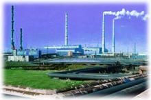 Запуск нового завода в Саратовской области