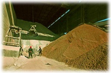 На Московской Фондовой Бирже берут начало торги по контрактам на поставку цемента