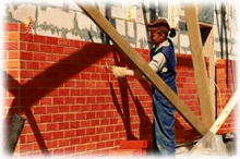 В Ньюкасле студенты вырастили бактерию-штукатура для ремонта бетона